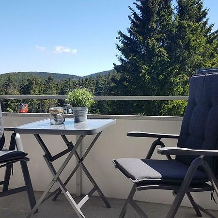 Ferienwohnung Singer Am Erlebnisbocksberg Goslar Exteriör bild