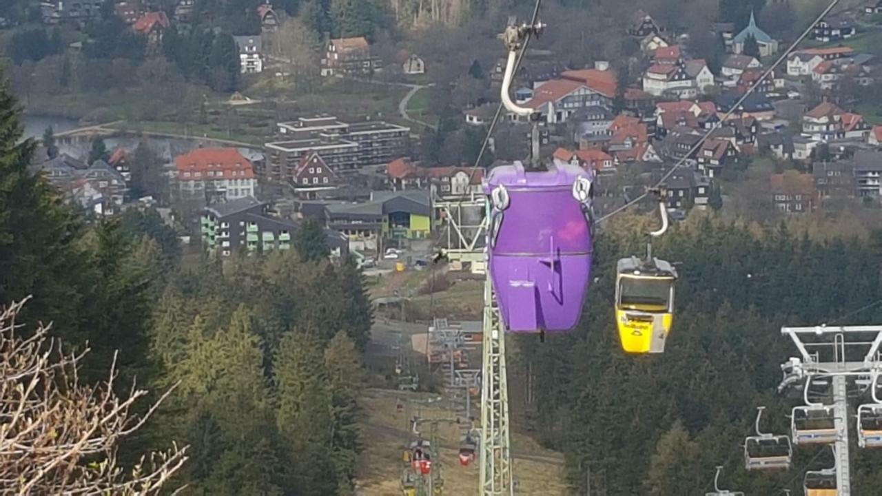 Ferienwohnung Singer Am Erlebnisbocksberg Goslar Exteriör bild